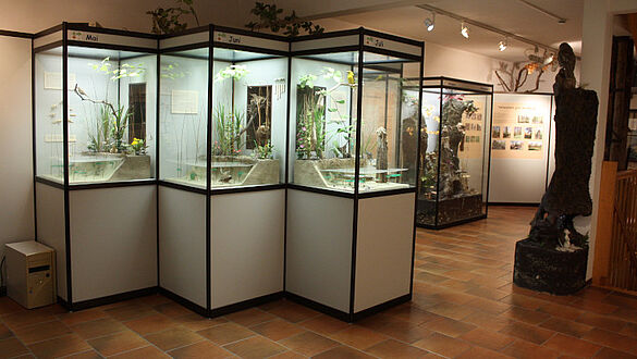 Blick in die Naturkundeausstellung