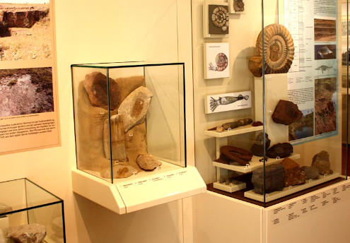 Blick in die geologische Ausstellung